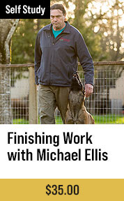 Finishing Work with Michael Ellis