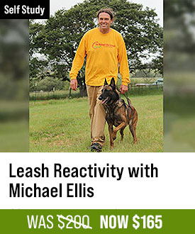 Leash Reactivity with Michael Ellis