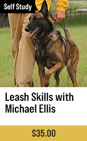 Leash Skills with Michael Ellis