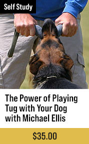 The Power of Playing Tug with Your Dog with Michael Ellis