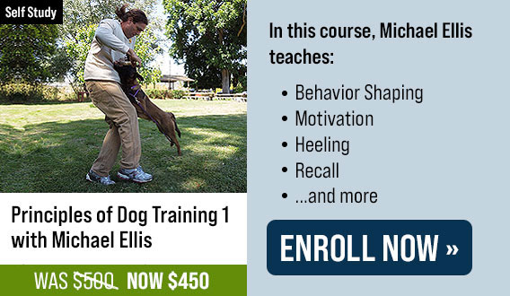 Principles of Dog Training 1