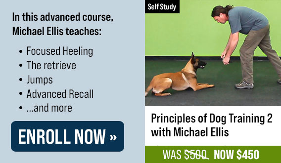 Principles of Dog Training 2