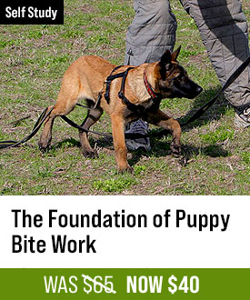 The Foundation of Puppy Bitework