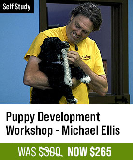 Puppy Development Workshop