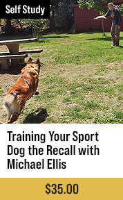 Training Your Sport Dog the Recall