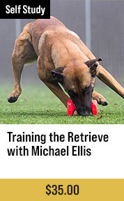 Training the Retrieve with Michael Ellis