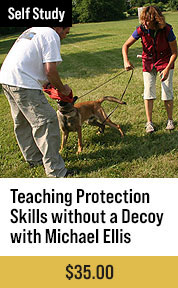 Teaching Protection Skills without a Decoy