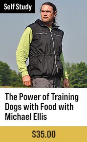 The Power of Training Dogs with Food