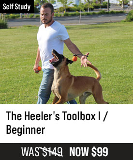 Heeler's Toolbox I / Beginner