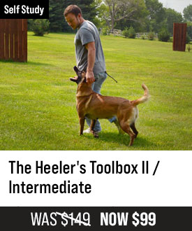 Heeler's Toolbox II / Intermediate