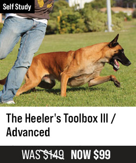 Heeler's Toolbox III / Advanced