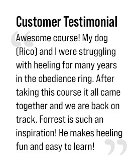 Heeler's Toolbox I Testimonial