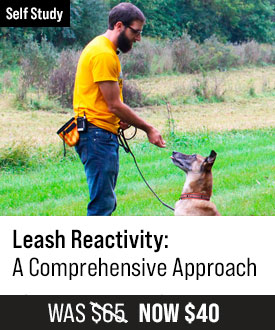 Leash Reactivity with Tyler Muto