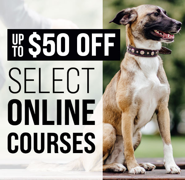 Up to $50 Off Select Courses