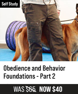 Obedience and Behavior Foundations - Part 2