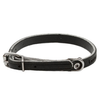 1/2-inch Leather Puppy Collar