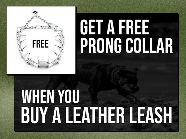 Buy any of the leashes above and get a FREE Prong Collar