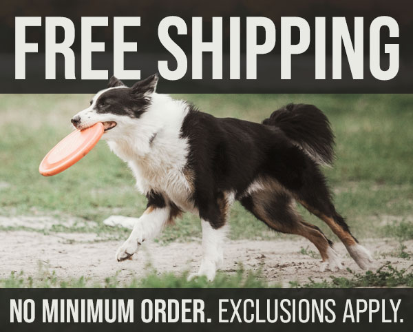 Free Shipping