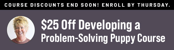 $25 Off Developing a Problem Solving Puppy