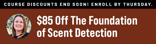 $85 Off The Foundation of Scent Detection