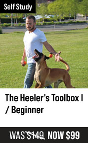 Heeler's Toolbox I