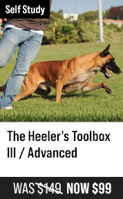 Heeler's Toolbox III