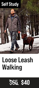 Loose Leash Walking with Tyler Muto