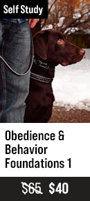 Obedience and Behavior Foundations Part 1