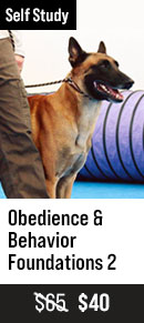 Obedience and Behavior Foundations Part 2