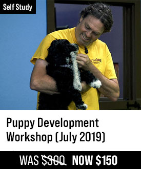 July 2019 Puppy Development Workshop