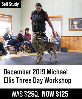 December 2019 Michael Ellis Three Day Workshop