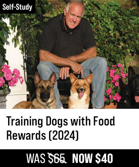 Training Dogs with Food Rewards (2024)