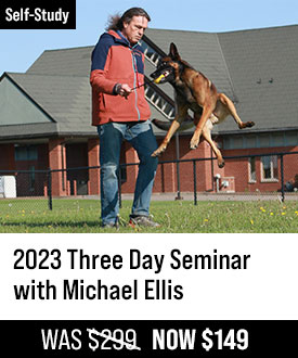 2023 Three Day Seminar with Michael Ellis