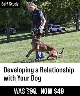 Developing a Relationship with Your Dog