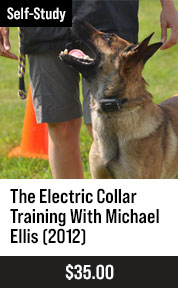 The Electric Collar Training With Michael Ellis