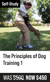 Principles of Dog Training 1