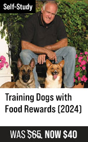 Training Dogs with Food Rewards (2024)