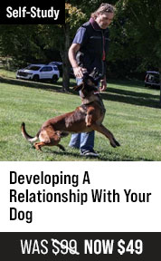 Developing a Relationship with Your Dog