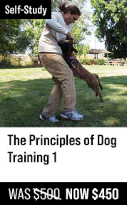 Principles of Dog Training