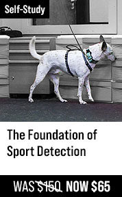 The Foundation of Sport Detection