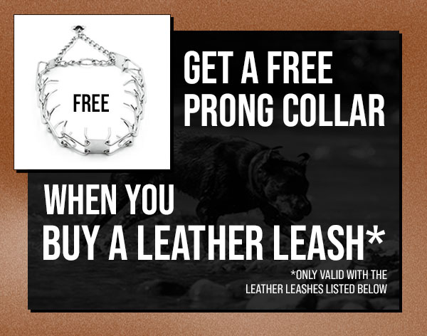 Free prong collar when you buy a select leather leash