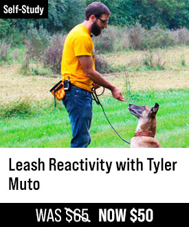 Leash Reactivity with Tyler Muto