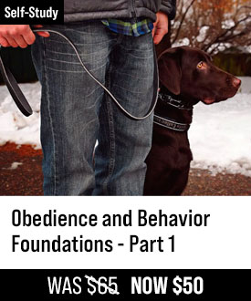 Obedience and Behavior Foundations - Part 1