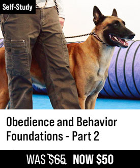 Obedience and Behavior Foundations - Part 2