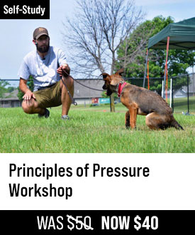 Principles of Pressure Workshop with Tyler Muto