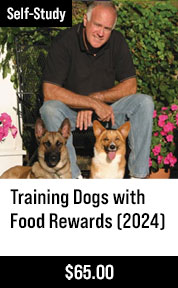 Training Dogs with Food Rewards (2024)