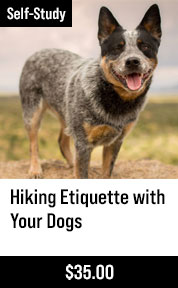 Hiking Etiquette with Your Dogs