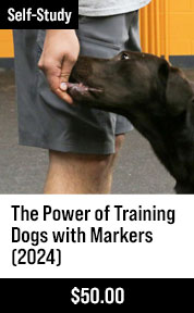 The Power of Training Dogs with markers (2024)