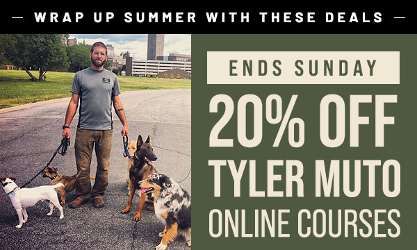 20% Off Select Tyler Muto Courses