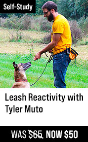 Leash Reactivity